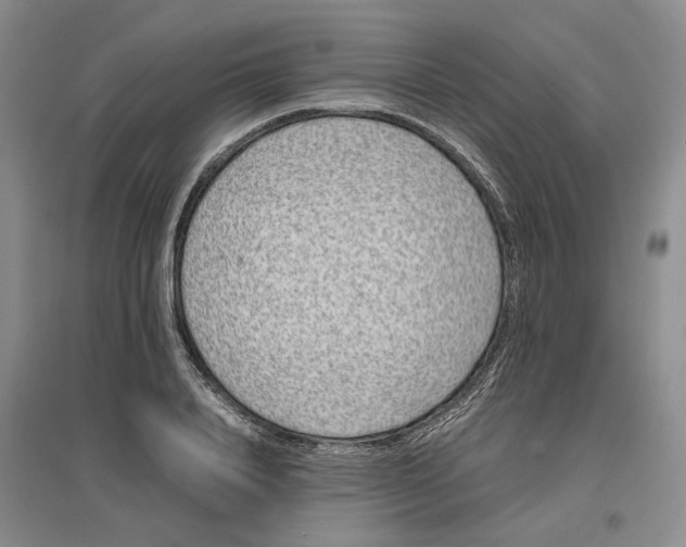 X0000096670840200802261450