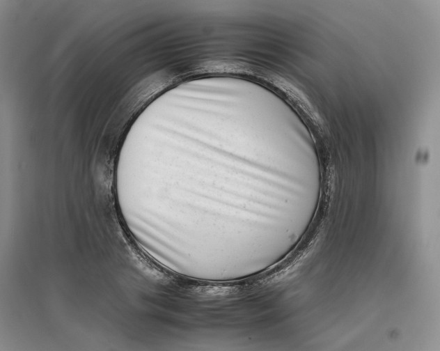 X0000096670841200802261450