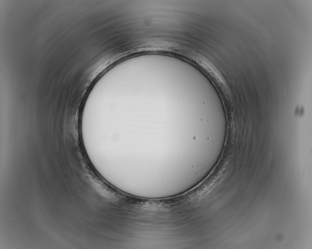 X0000096670842200802261450