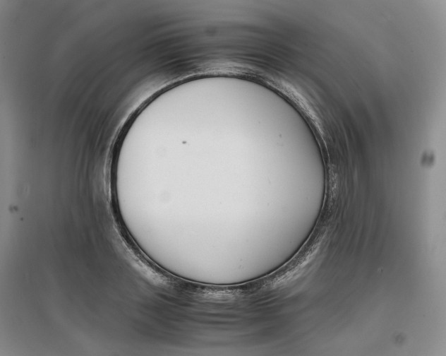 X0000096670843200802261450