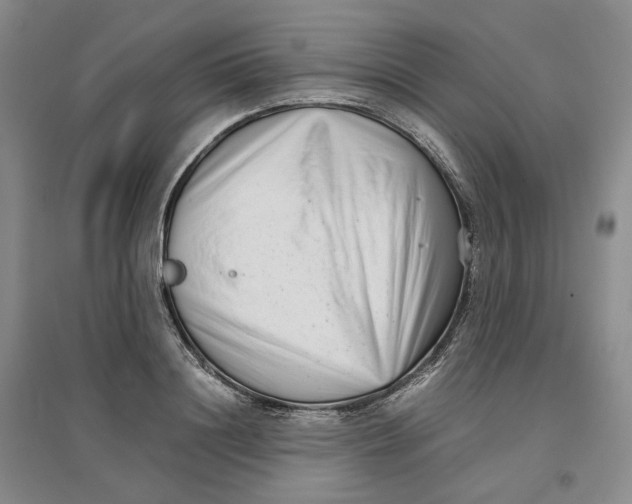 X0000096670844200802261450