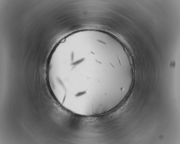 X0000096670846200802261450