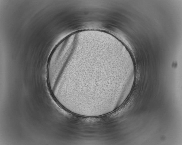 X0000096670847200802261450