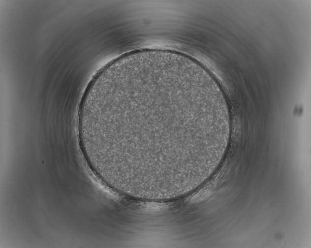 X0000096670848200802261450