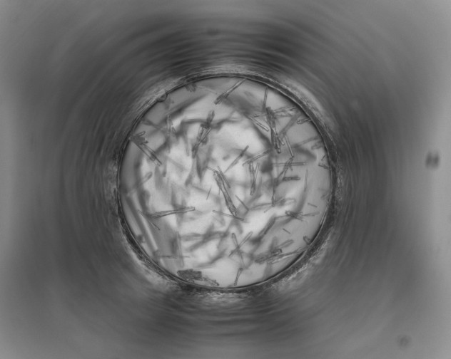 X0000096670849200802261450