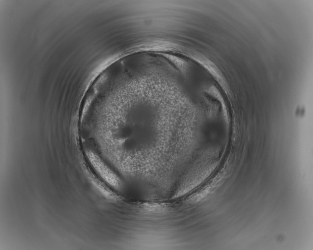 X0000096670850200802261450