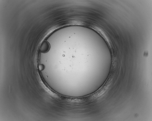 X0000096670851200802261450