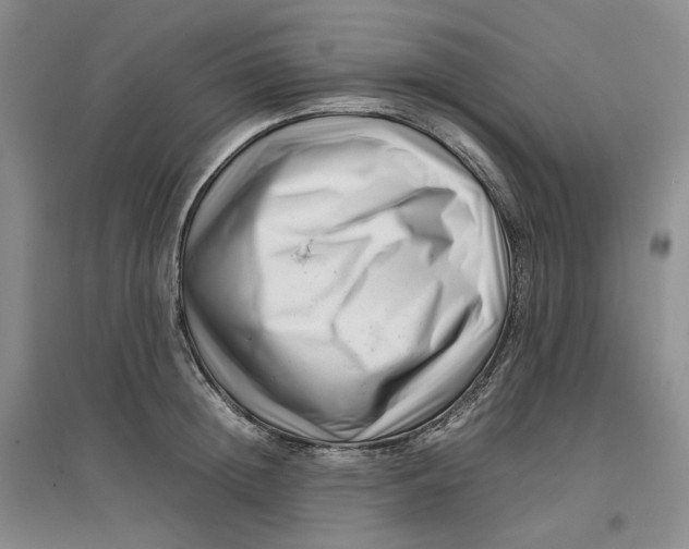 X0000096670852200802261450