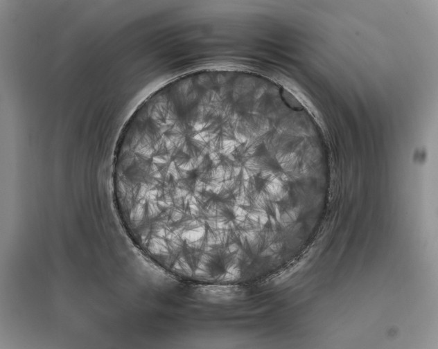 X0000096670853200802261450