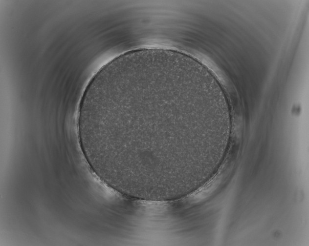 X0000096670856200802261451