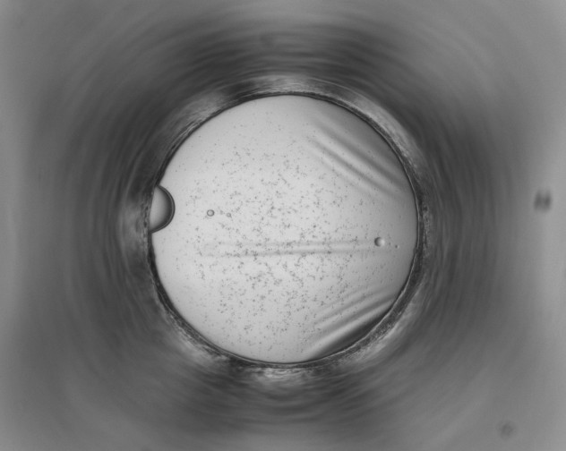 X0000096670857200802261451