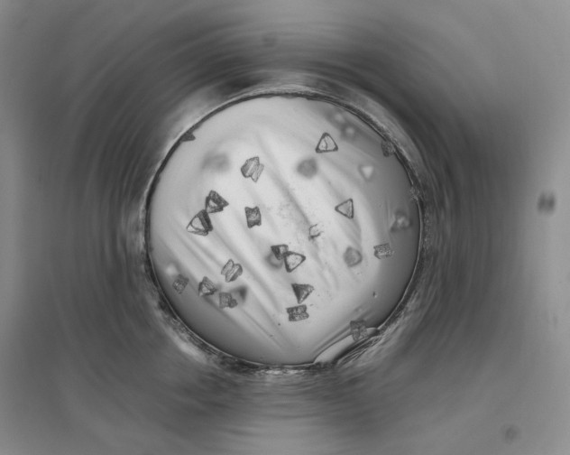 X0000096670858200802261451