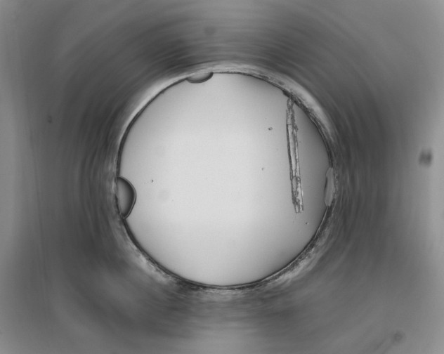 X0000096670860200802261451