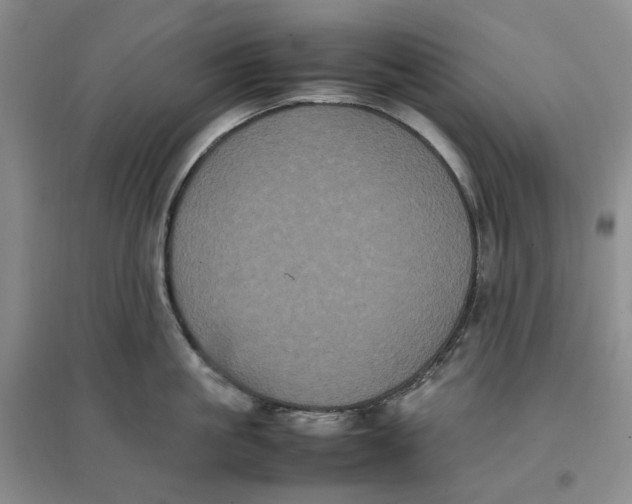 X0000096670861200802261451