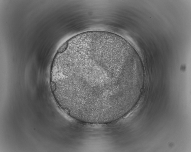 X0000096670862200802261451