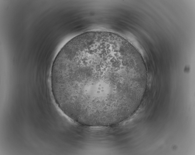 X0000096670863200802261451