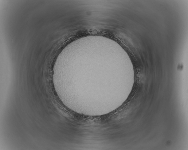 X0000096670865200802261450