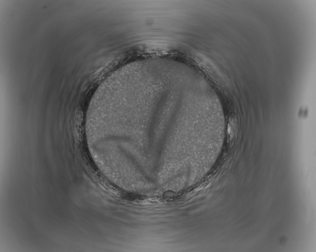 X0000096670867200802261450