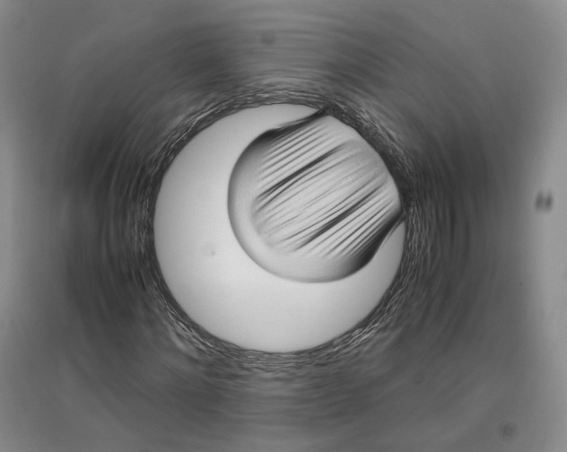 X0000096670868200802261450