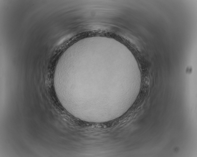 X0000096670869200802261450