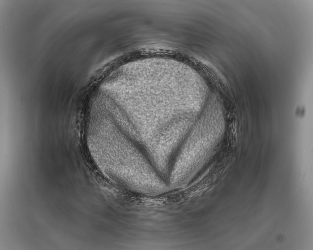 X0000096670870200802261450