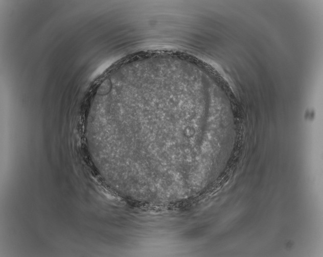 X0000096670871200802261450