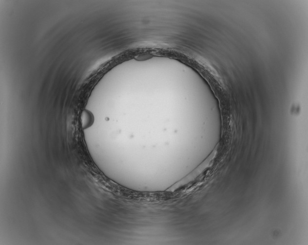 X0000096670872200802261450