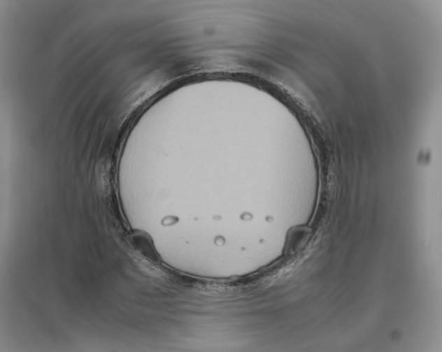 X0000096670873200802261450