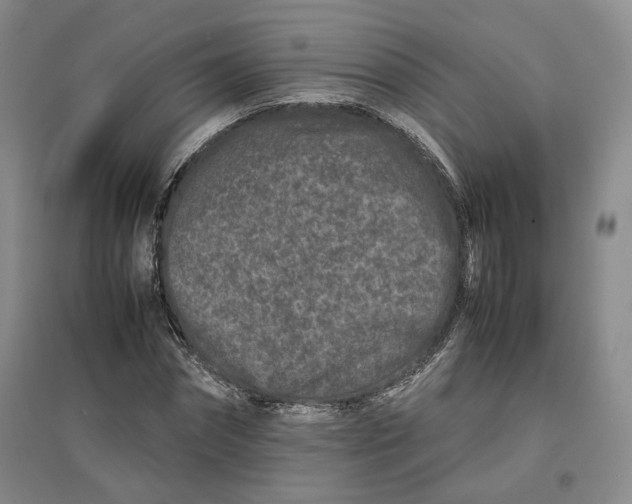 X0000096670874200802261450