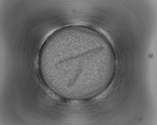 X0000096670875200802261450