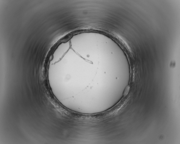 X0000096670876200802261450