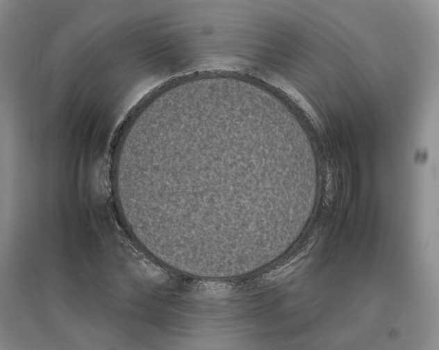 X0000096670878200802261450