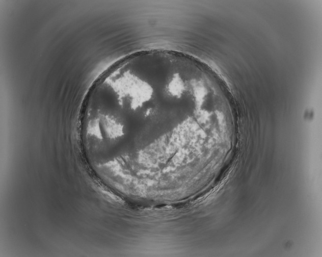 X0000096670879200802261450