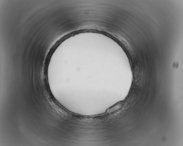 X0000096670880200802261450