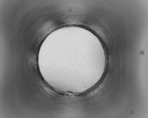 X0000096670881200802261450