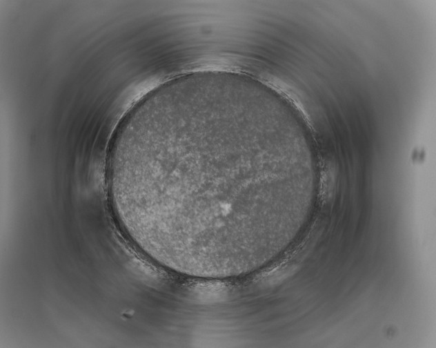 X0000096670882200802261449