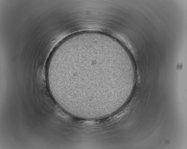 X0000096670883200802261449