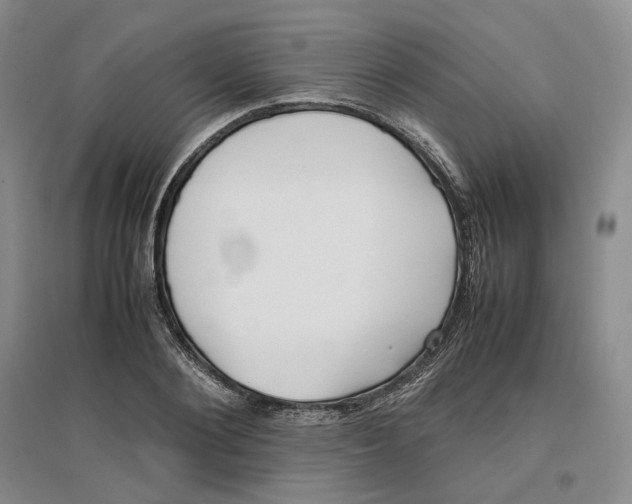 X0000096670884200802261449