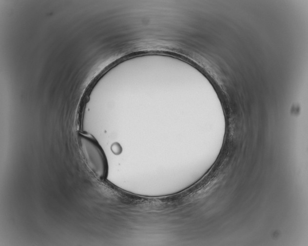 X0000096670885200802261449