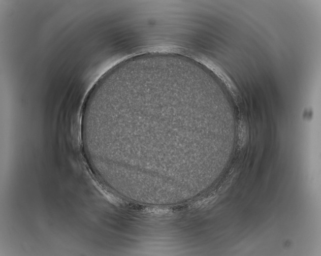 X0000096670886200802261449