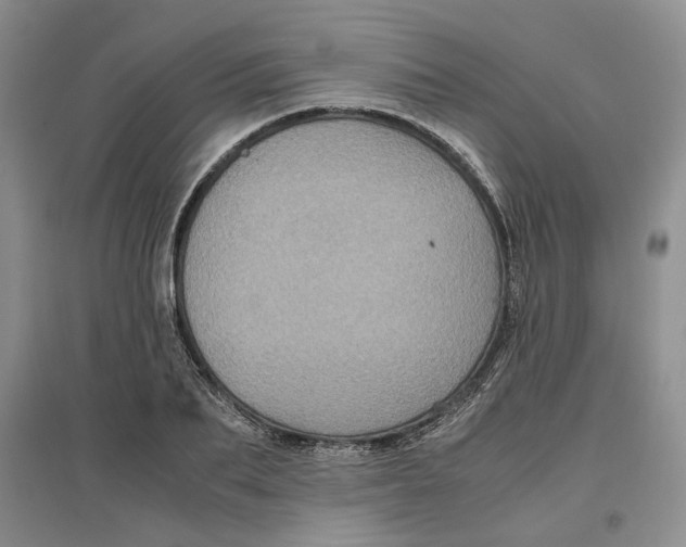 X0000096670887200802261449