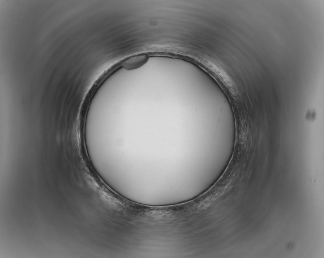 X0000096670888200802261449