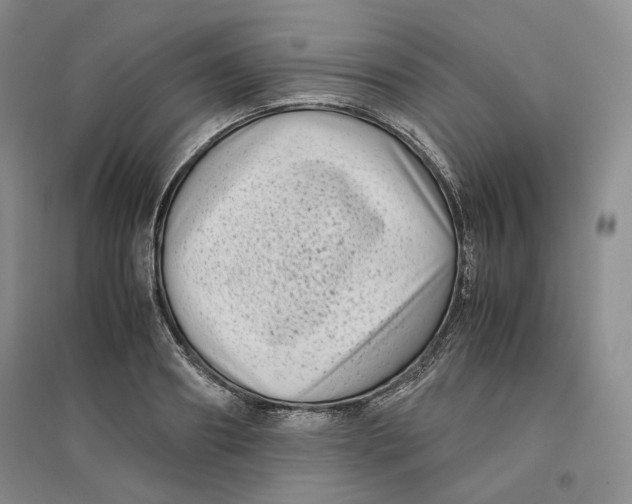 X0000096670890200802261449