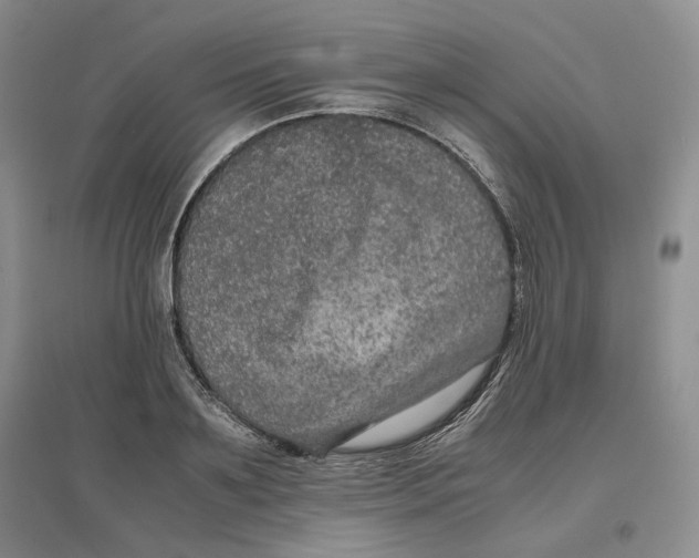 X0000096670891200802261449