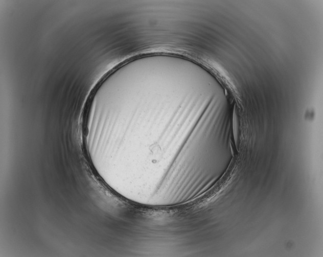 X0000096670892200802261449