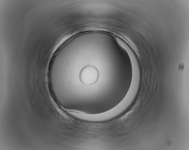 X0000096670893200802261449