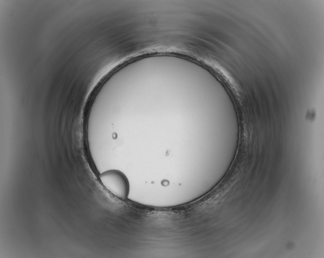 X0000096670894200802261449