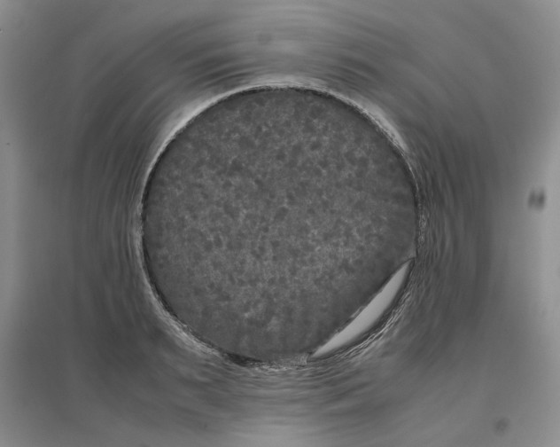 X0000096670895200802261449