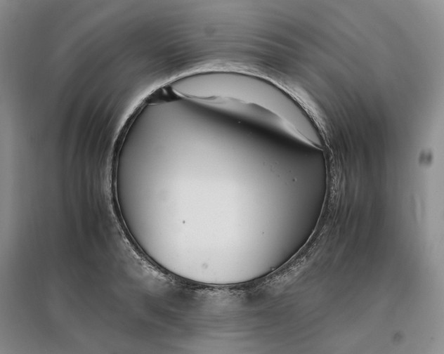 X0000096670896200802261449