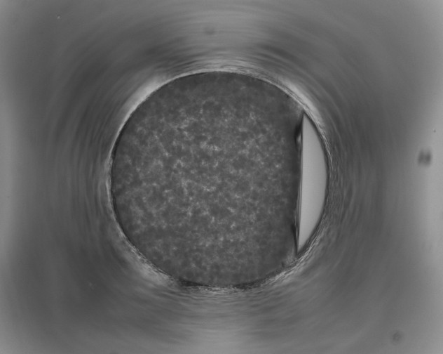 X0000096670899200802261449